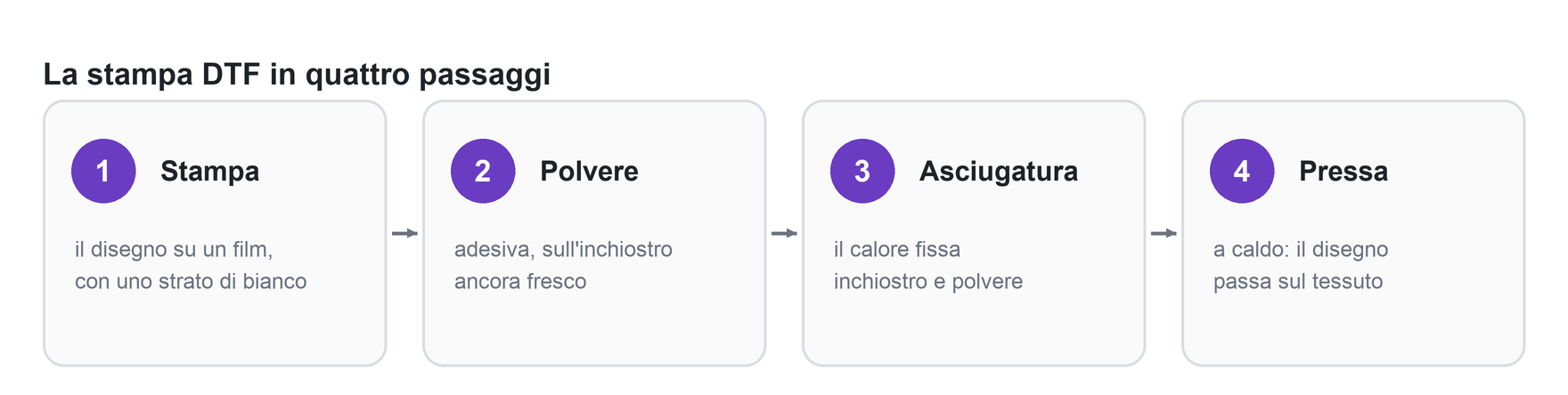 I quattro passaggi della stampa DTF: stampa su film, polvere adesiva, asciugatura, pressa a caldo